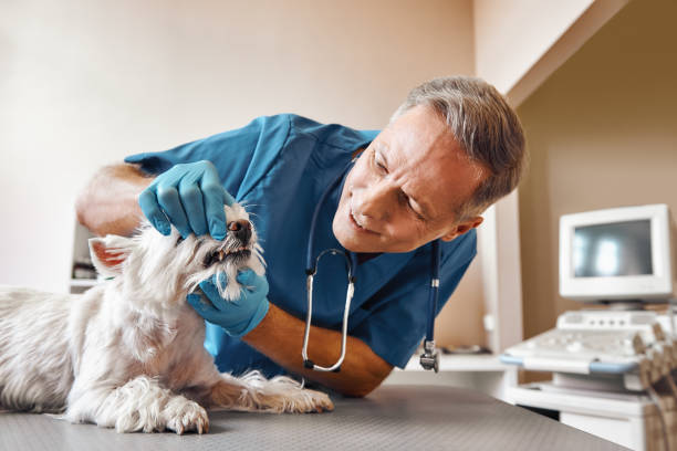 Best Emergency Wisdom Teeth Removal in Rumson, NJ